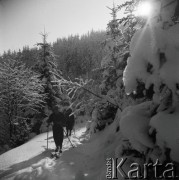 Lata 30., Polska.
Wycieczka narciarska w górach.
Fot. NN, kolekcja Witolda Lis-Olszewskiego, zbiory Ośrodka KARTA