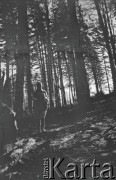 Lata 20., Jamielnica, Polska (obecnie Ukraina).
Henryka Lis-Olszewska na zimowej wycieczce w okolicy skałek jamielnickich.
Fot. NN, kolekcja Witolda Lis-Olszewskiego, zbiory Ośrodka KARTA