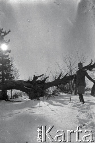 Lata 20., Jamielnica, Polska (obecnie Ukraina).
Henryka Lis-Olszewska na zimowej wycieczce w okolicy skałek jamielnickich.
Fot. NN, kolekcja Witolda Lis-Olszewskiego, zbiory Ośrodka KARTA