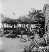 1936, prawdopodobnie Stambuł, Turcja.
Życie codzienne na ulicach miasta, n/z osiołki przed budynkiem poczty.
Fot. NN, kolekcja Witolda Lis-Olszewskiego, zbiory Ośrodka KARTA