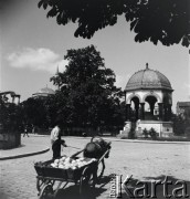 1936, Stambuł, Turcja.
Życie codzienne na ulicach miasta.
Fot. NN, kolekcja Witolda Lis-Olszewskiego, zbiory Ośrodka KARTA