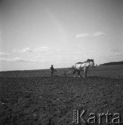 1928-1936, Polska.
Orka.
Fot. NN, kolekcja Witolda Lis-Olszewskiego, zbiory Ośrodka KARTA