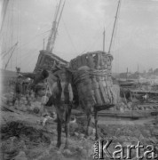 08.1936, prawdopodobnie Konstanca, Rumunia.
W porcie, n/z tragarz. Negatyw podwójnie naświetlony.
Fot. NN, kolekcja Witolda Lis-Olszewskiego, zbiory Ośrodka KARTA