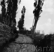 1936, prawdopodobnie Turcja.
Uliczka.
Fot. NN, kolekcja Witolda Lis-Olszewskiego, zbiory Ośrodka KARTA