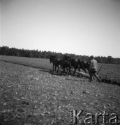 1928-1936, Polska.
Orka.
Fot. NN, kolekcja Witolda Lis-Olszewskiego, zbiory Ośrodka KARTA