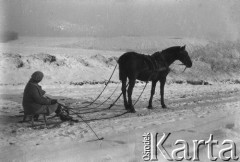 Lata 30., Oporzec, Polska (obecnie Ukraina).
Henryka Lis-Olszewska na sankach, zaprzężonych do konia.
Fot. NN, kolekcja Witolda Lis-Olszewskiego, zbiory Ośrodka KARTA