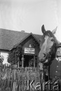 Czerwiec 1927, Fitków, Polska.
Kawalerzysta przed urzędem gminnym.
Fot. NN, kolekcja Witolda Lis-Olszewskiego, zbiory Ośrodka KARTA