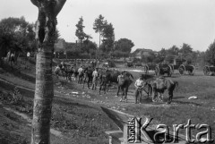 Czerwiec 1927, Fitków, Polska.
Oddział kawalerii.
Fot. NN, kolekcja Witolda Lis-Olszewskiego, zbiory Ośrodka KARTA