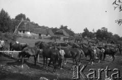 Czerwiec 1927, Fitków, Polska.
Oddział kawalerii.
Fot. NN, kolekcja Witolda Lis-Olszewskiego, zbiory Ośrodka KARTA