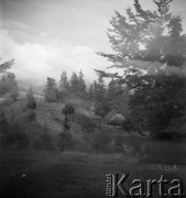 Lata 30., Czarnohora, Polska (obecnie Ukraina).
Krajobraz górski.
Fot. NN, kolekcja Witolda Lis-Olszewskiego, zbiory Ośrodka KARTA