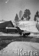 Lata 30., Oporzec, Polska (obecnie Ukraina).
Sanie i zimowy krajobraz.
Fot. NN, kolekcja Witolda Lis-Olszewskiego, zbiory Ośrodka KARTA