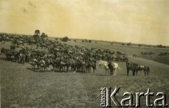 1932, Grabowo Królewskie, pow. Września, woj. poznańskie, Polska.
Manewry 15 Pułku Ułanów Poznańskich.
Fot. NN, zbiory Ośrodka KARTA, udostępnił Tomasz Kamiński

