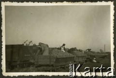 1935, Grabowo Królewskie, pow. Września, woj. poznańskie, Polska.
Zwózka buraków cukrowych.
Fot. NN, zbiory Ośrodka KARTA, udostępnił Tomasz Kamiński
