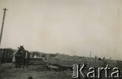 1935, Grabowo Królewskie, pow. Września, woj. poznańskie, Polska.
Zwózka buraków cukrowych.
Fot. NN, zbiory Ośrodka KARTA, udostępnił Tomasz Kamiński