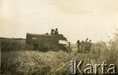 1936, Grabowo Królewskie, pow. Września, woj. poznańskie, Polska.
Żniwa.
Fot. NN, zbiory Ośrodka KARTA, udostępnił Tomasz Kamiński