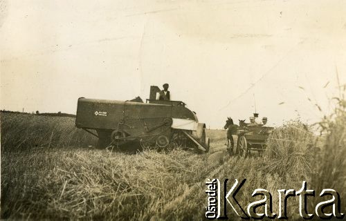 1936, Grabowo Królewskie, pow. Września, woj. poznańskie, Polska.
Żniwa.
Fot. NN, zbiory Ośrodka KARTA, udostępnił Tomasz Kamiński