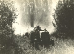 Po 1948, Argentyna.
Nawadnianie.
Fot. NN, udostępniła Jolanta Wolszczynin.