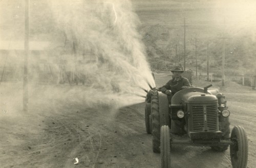 Po 1948, Argentyna.
Nawadnianie.
Fot. NN, udostępniła Jolanta Wolszczynin.