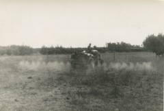 Po 1948, Argentyna.
Nawadnianie.
Fot. NN, udostępniła Jolanta Woszczynin.