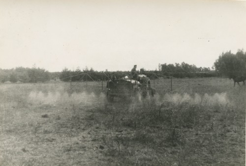 Po 1948, Argentyna.
Nawadnianie.
Fot. NN, udostępniła Jolanta Woszczynin.