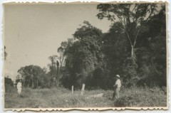 Po 1948, Argentyna.
Na leśnej polanie.
Fot. NN, udostępniła Jolanta Woszczynin.