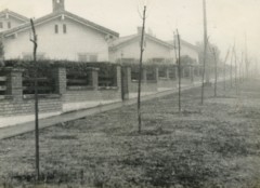 Czerwiec 1966, Metan, prowincja Satla, Argentyna.
Dom rodziny Woszczyninów.
Fot. NN, udostępniła Jolanta Woszczynin.