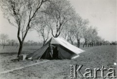 1944, Włochy.
Namiot wojskowy.
Fot. NN, zbiory Ośrodka KARTA, udostępniła Magdalena Braun