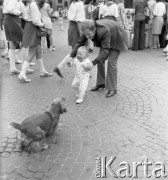 1971-1973, Warszawa, Polska.
Scenka na Rynku Starego Miasta.
Fot. Lubomir T. Winnik, zbiory Ośrodka KARTA