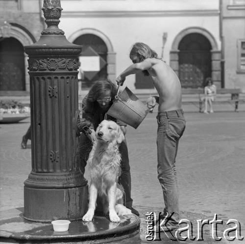 1973, Warszawa, Polska.
Para polewająca psa wodą z pompy na Rynku Starego Miasta.
Fot. Lubomir T. Winnik, zbiory Ośrodka KARTA