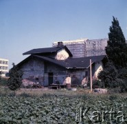 1973, Warszawa, Polska.
Willa przy ul. Bukowińskiej, tzw. Pawiówka.
Fot. Lubomir T. Winnik, zbiory Ośrodka KARTA