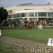 1972, Warszawa, Polska.
Pokazy na torze wyścigów konnych na Służewcu zorganizowane z okazji 50-lecia Polskiego Towarzystwa Zootechnicznego.
Fot. Lubomir T. Winnik, zbiory Ośrodka KARTA