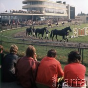 1972, Warszawa, Polska.
Pokazy na torze wyścigów konnych na Służewcu zorganizowane z okazji 50-lecia Polskiego Towarzystwa Zootechnicznego.
Fot. Lubomir T. Winnik, zbiory Ośrodka KARTA
