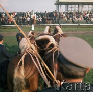 1972, Warszawa, Polska.
Pokazy na torze wyścigów konnych na Służewcu zorganizowane z okazji 50-lecia Polskiego Towarzystwa Zootechnicznego.
Fot. Lubomir T. Winnik, zbiory Ośrodka KARTA