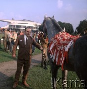 1972, Warszawa, Polska.
Pokazy na torze wyścigów konnych na Służewcu zorganizowane z okazji 50-lecia Polskiego Towarzystwa Zootechnicznego. Na pierwszym planie ogier czystej krwi arabskiej.
Fot. Lubomir T. Winnik, zbiory Ośrodka KARTA