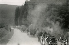 1939-1945, brak miejsca.
Konna kolumna aprowizacyjna Wehrmachtu.
Fot. NN, album nieznanego żołnierza Wehrmachtu, kolekcja Tomasza Kopańskiego, zbiory Ośrodka KARTA