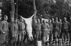 1939-1945, brak miejsca.
Żołnierze Luftwaffe – rzeźnia polowa.
Fot. NN, album nieznanego żołnierza Wehrmachtu, kolekcja Tomasza Kopańskiego, zbiory Ośrodka KARTA