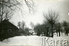 1939-1945, prawdopodobnie Jasło.
Domy przy alei wierzbowej.
Fot. NN, album nieznanego żołnierza Wehrmachtu, kolekcja Tomasza Kopańskiego, zbiory Ośrodka KARTA