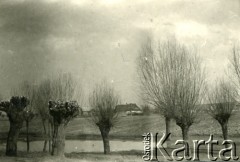 1939-1945, prawdopodobnie okolice Jasła.
Wierzby.
Fot. NN, album nieznanego żołnierza Wehrmachtu, kolekcja Tomasza Kopańskiego, zbiory Ośrodka KARTA