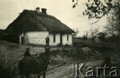 1939-1945, okolice Jasła.
Zaprzęg przed chałupą krytą strzechą.
Fot. NN, album nieznanego żołnierza Wehrmachtu, kolekcja Tomasza Kopańskiego, zbiory Ośrodka KARTA