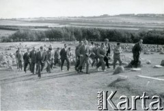 Lata 50./lata 60., Lindholm Hoje koło Aalbogru, Dania.
Grupa osób zwiedzająca cmentarz Wikingów (prawdopodobnie załoga polskiego statku 