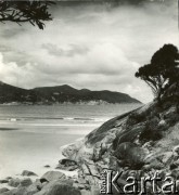 Koniec lat 50. - początek lat 70., Australia.
Fragment plaży.
Fot. NN, kolekcja Wacława Urbanowicza, zbiory Ośrodka KARTA