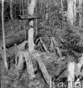 1-2.05.1959, Białowieża, woj. białostockie, Polska.
Mogiła z krzyżem łacińskim znaleziona w czasie wycieczki prasowej w Białowieskim Parku Narodowym. 
Fot. Jerzy Konrad Maciejewski, zbiory Ośrodka KARTA.