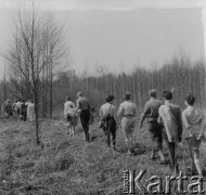 1-2.05.1959, Białowieża, woj. białostockie, Polska.
Uczestnicy wycieczki prasowej w Białowieskim Parku Narodowym.
Fot. Jerzy Konrad Maciejewski, zbiory Ośrodka KARTA.