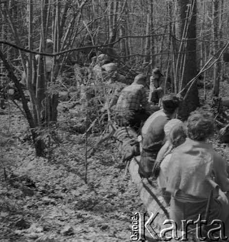 1-2.05.1959, Białowieża, woj. białostockie, Polska.
Uczestnicy wycieczki prasowej w Białowieskim Parku Narodowym.
Fot. Jerzy Konrad Maciejewski, zbiory Ośrodka KARTA.