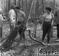 1-2.05.1959, Białowieża, woj. białostockie, Polska.
Wycieczka prasowa w Białowieskim Parku Narodowym.
Fot. Jerzy Konrad Maciejewski, zbiory Ośrodka KARTA.