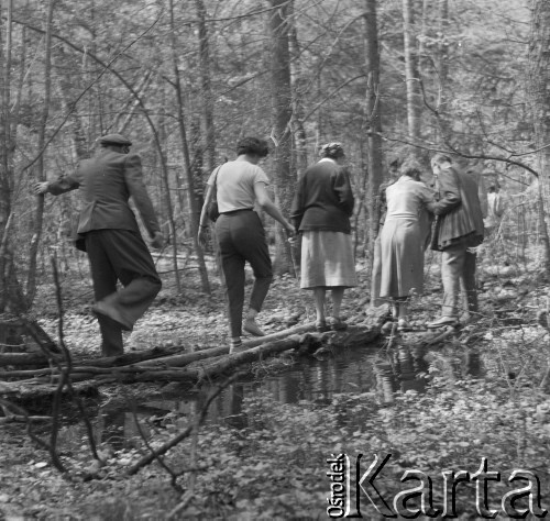 1-2.05.1959, Białowieża, woj. białostockie, Polska.
Uczestnicy wycieczki prasowej w rezerwacie w Białowieskim Parku Narodowym. 
Fot. Jerzy Konrad Maciejewski, zbiory Ośrodka KARTA.