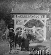 1-2.05.1959, Białowieża, woj. białostockie, Polska.
Uczestnicy wycieczki prasowej do Białowieskiego Parku Narodowej przed wejściem do parku. Przy wozie leśniczy Gapanowicz, który oprowadzał uczestników wycieczki po parku.
Fot. Jerzy Konrad Maciejewski, zbiory Ośrodka KARTA.