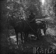 1-2.05.1959, Białowieża, woj. białostockie, Polska.
Mężczyzna na wozie zaprzężonym w konia. Zdjęcie wykonane podczas wycieczki prasowej do Białowieskiego Parku Narodowego.
Fot. Jerzy Konrad Maciejewski, zbiory Ośrodka KARTA.