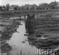 1960, Biskupin, Polska.
Wycieczka turystyczna zmierza do osady obronnej kultury łużyckiej. Biskupin został odkryty pod wodami Jeziora Biskupińskiego przez archeologów w 1934 r.
Fot. Jerzy Konrad Maciejewski, zbiory Ośrodka KARTA.