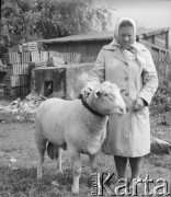 Lata 50., Bieszczady, Polska.
Kobieta z owcą.
Fot. Jerzy Konrad Maciejewski, zbiory Ośrodka KARTA.